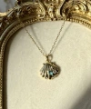 Venus Shell Kolye