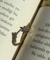 Kuzey Yıldızı Taşlı Yüzük