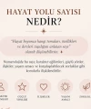 Hayat Yolu Sayılarınız ve Doğum Taşı Kolyesi