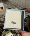 Güneş Motifli Yüzük