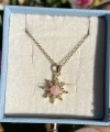 Pembe Opal Taşlı Kuzey Yıldızı Kolye I Çelik