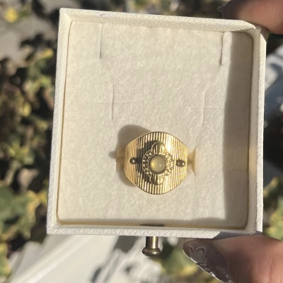 Labradorit Taşlı Vintage Yüzük I Çelik