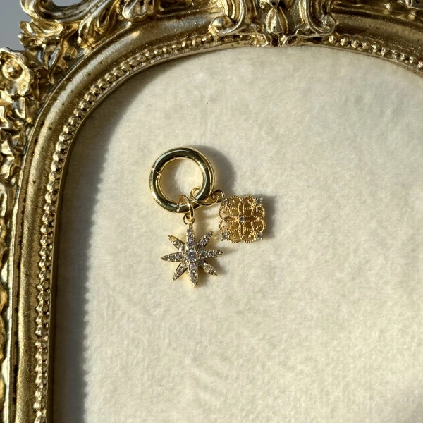 Starluck Bikini Charm