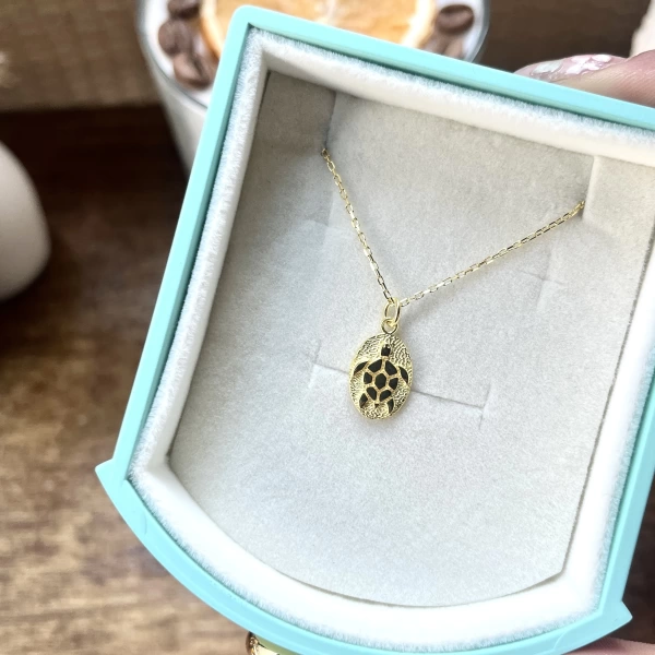 Minimal Kaplumbağa Kolye I 925 Gümüş