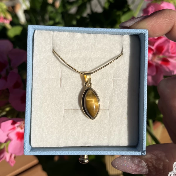 Oval Kaplan Gözü Kolye I Çelik