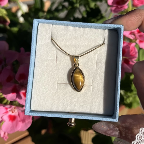Oval Kaplan Gözü Kolye I Çelik