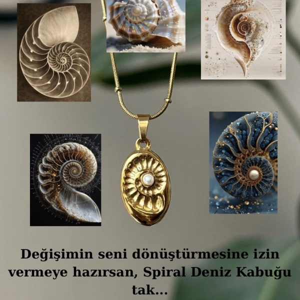 Spiral Deniz Kabuğu Kolye