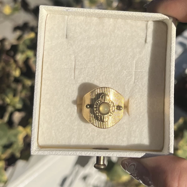 Labradorit Taşlı Vintage Yüzük I Çelik