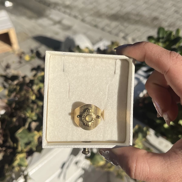 Labradorit Taşlı Vintage Yüzük I Çelik