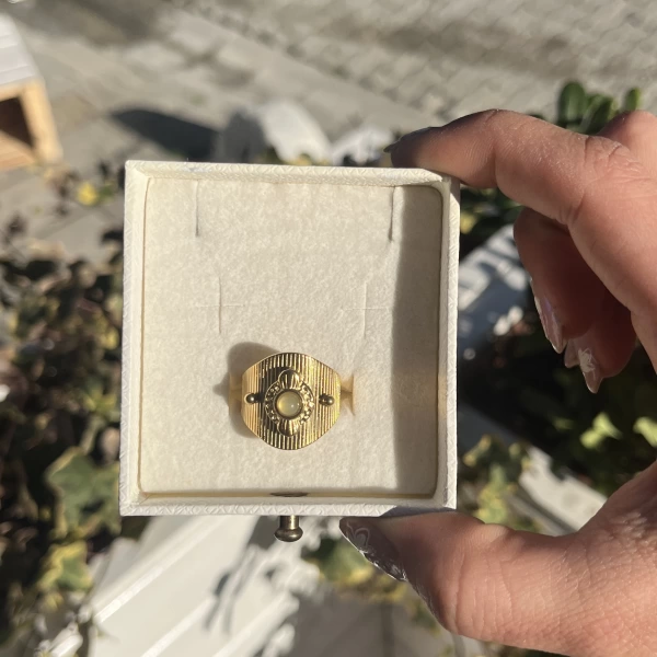 Labradorit Taşlı Vintage Yüzük I Çelik