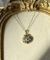 Venus Shell Kolye