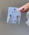 Dilek Yıldızı Küpe