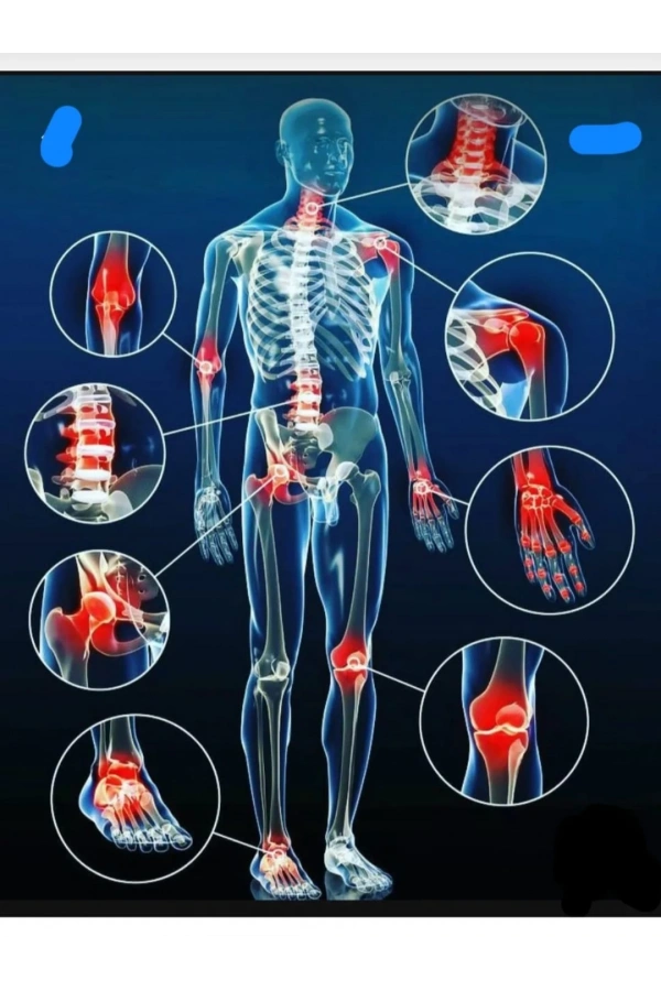 Kuyruk Yağı Özlü Masaj Kremi – 244 ml | Kas ve Eklem Rahatlatıcı