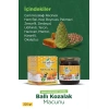 Ballı Kozalak Macunu – 225 gr | Şekersiz, Katkısız, Doğal Solunum Destekleyici