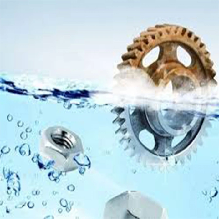 Shumanss Pas Sökücü 1 Lt