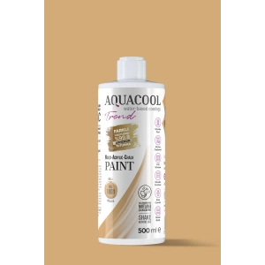 Aquacool Trend Su Bazlı Akrilik Dönüşüm Boyası RAL 1001 Bej 500ml