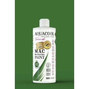 Aquacool Trend Su Bazlı Akrilik Dönüşüm Boyası 672 Yonca 500ml