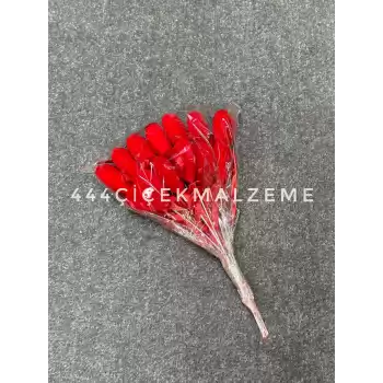 Kalp Çubuk