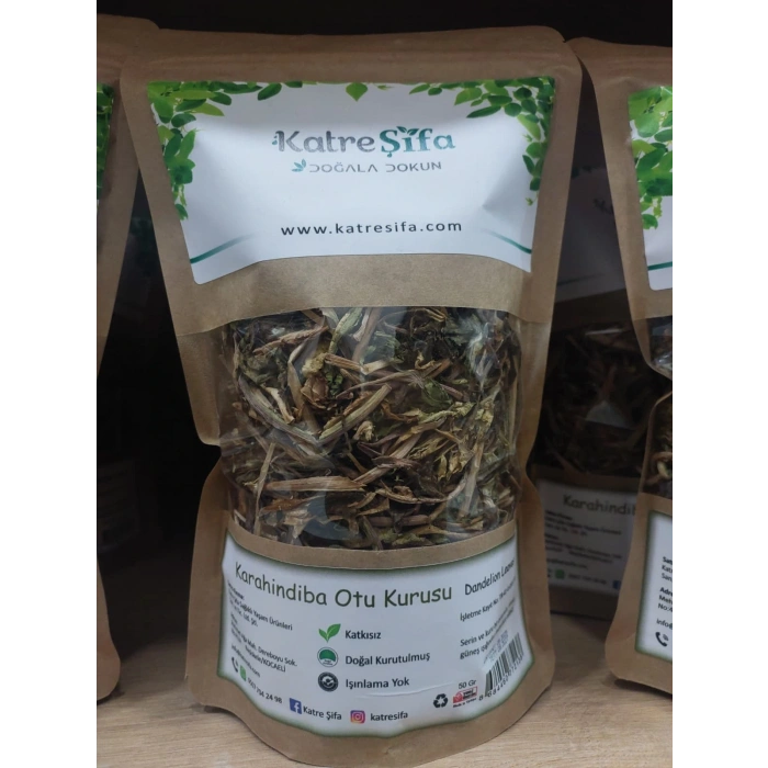 Karahindiba Otu Kurusu