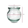 GLASS CUPPING CUP SET OF 5