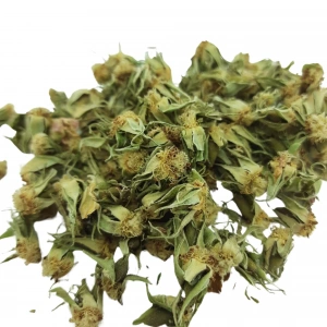 Gül Çiçeği Kurusu