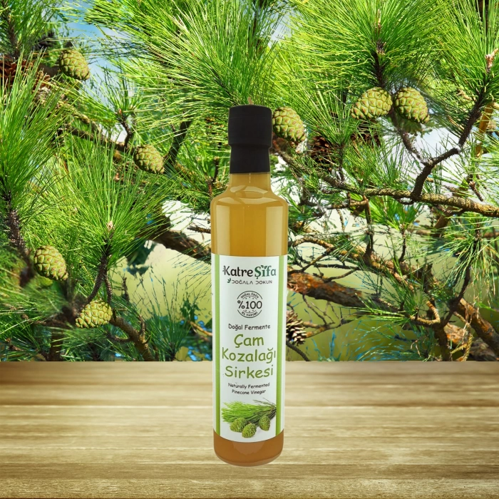 PINE CONE VINEGAR