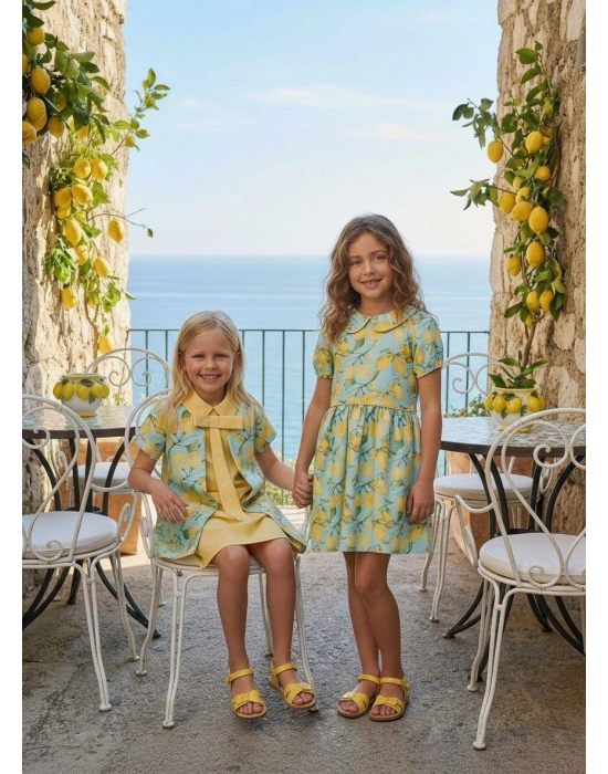 HC-Lemon Patterned Kids Dress