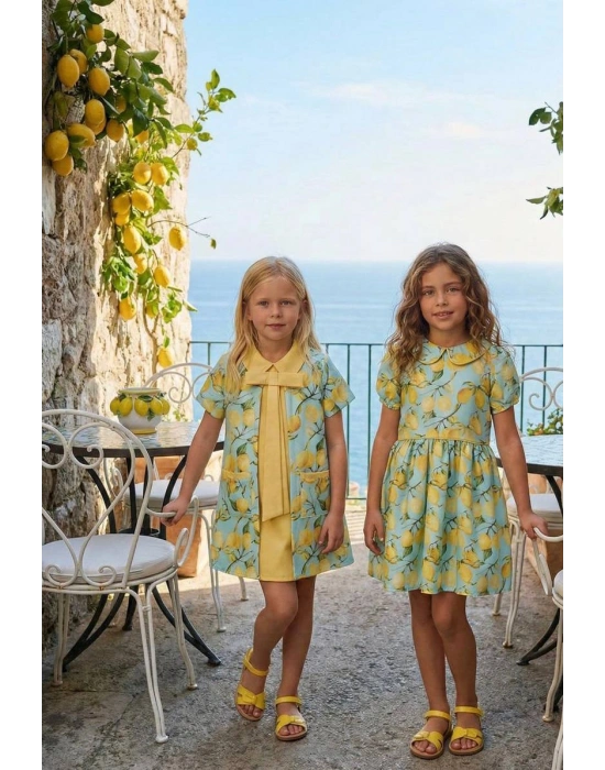 HC-Lemon Patterned Kids Dress