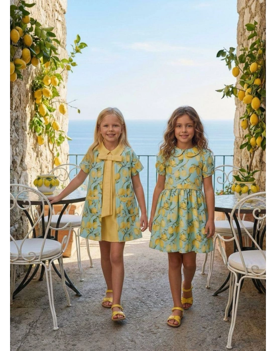 HC-Lemon Patterned Kids Dress