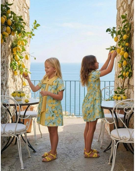 HC-Lemon Patterned Kids Dress