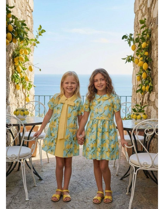 HC-Lemon Patterned Kids Dress