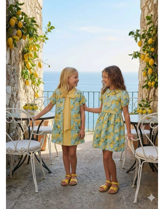HC-Lemon Patterned Kids Dress