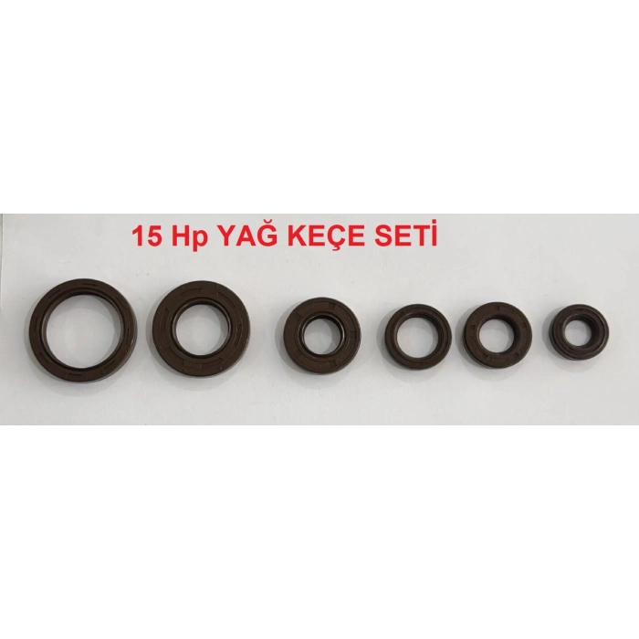 TEKNE MOTORU 15 HP YAĞ KEÇE SETİ