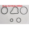 TEKNE MOTORU 20 Hp KUYRUK ORİNG SETİ