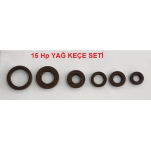 TEKNE MOTORU 15 HP YAĞ KEÇE SETİ