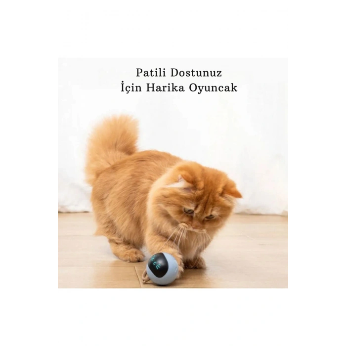 Akıllı Kedi Oyuncağı Kendi Kendine Otomatik Dönen Usb Şarjlı Kedi Köpek Oyuncağı