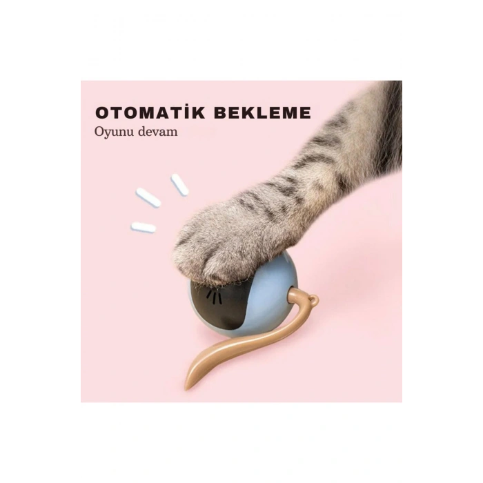 Akıllı Kedi Oyuncağı Kendi Kendine Otomatik Dönen Usb Şarjlı Kedi Köpek Oyuncağı