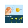 Otomatik Şarjlı Köpek Kedi Oyuncağı Hareketli RGB Işıklı Zıplayan Akıllı Top Kedi Oyuncağı