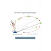 Tenis Antrenör Seti Profesyonel Elastik Halatlı Tenis Antrenman Aleti Pratik Spor Fitness Aleti