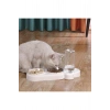 Çift Hazneli Kedi Mama ve Su Kabı 550 ml Su Şişeli, 15° Eğik Tasarım Otomatik 3 Gün idare edebilir