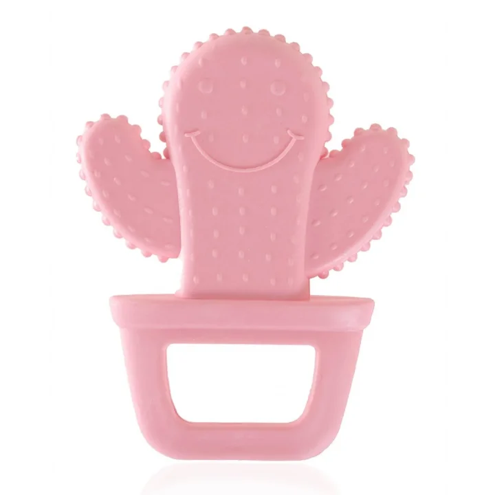 Babyjem Yumuşak Diş Kaşıyıcı Kaktüs Pembe