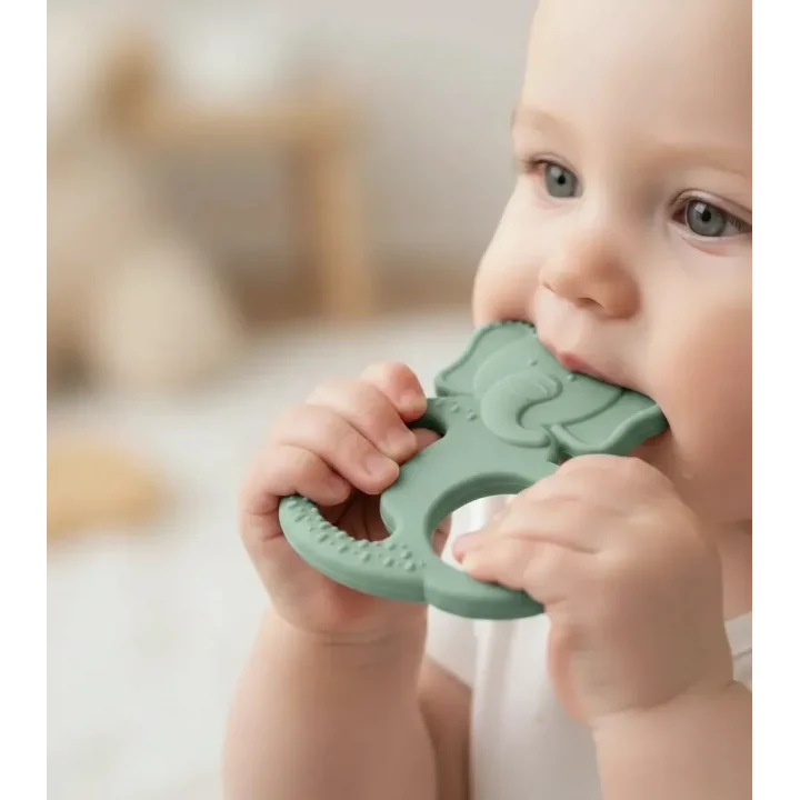 Babyjem Silikon Fil Diş Kaşıyıcı Mint