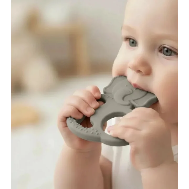 Babyjem Silikon Fil Diş Kaşıyıcı Gri