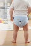 Babyjem Soft Alıştırma Külodu Mavi 2 Yaş