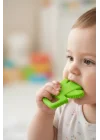 Babyjem Kaktüs Diş Kaşıyıcı Açık Yeşil