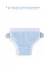 Babyjem Soft Alıştırma Külodu Mavi 2 Yaş
