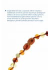 Babyjem Orjinal Sertifikalı Kehribar Bebek Kolyesi Multicolor