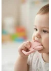 Babyjem Yumuşak Diş Kaşıyıcı Kaktüs Pembe