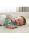 Babyjem Diş Kaşıyıcılı Uyku Arkadaşım 680 Yeşil