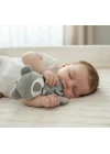 Babyjem Diş Kaşıyıcılı Uykucu Ayıcık 680 Gri
